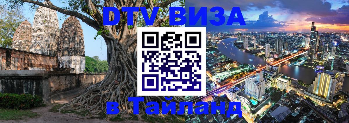 Сколько стоит DTV виза — актуальные цены, оформление даже без документов - Кишинёв  04.10.2025 
